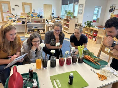 Teachers in Montessori classroom
